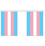 Transgender flag Bunting